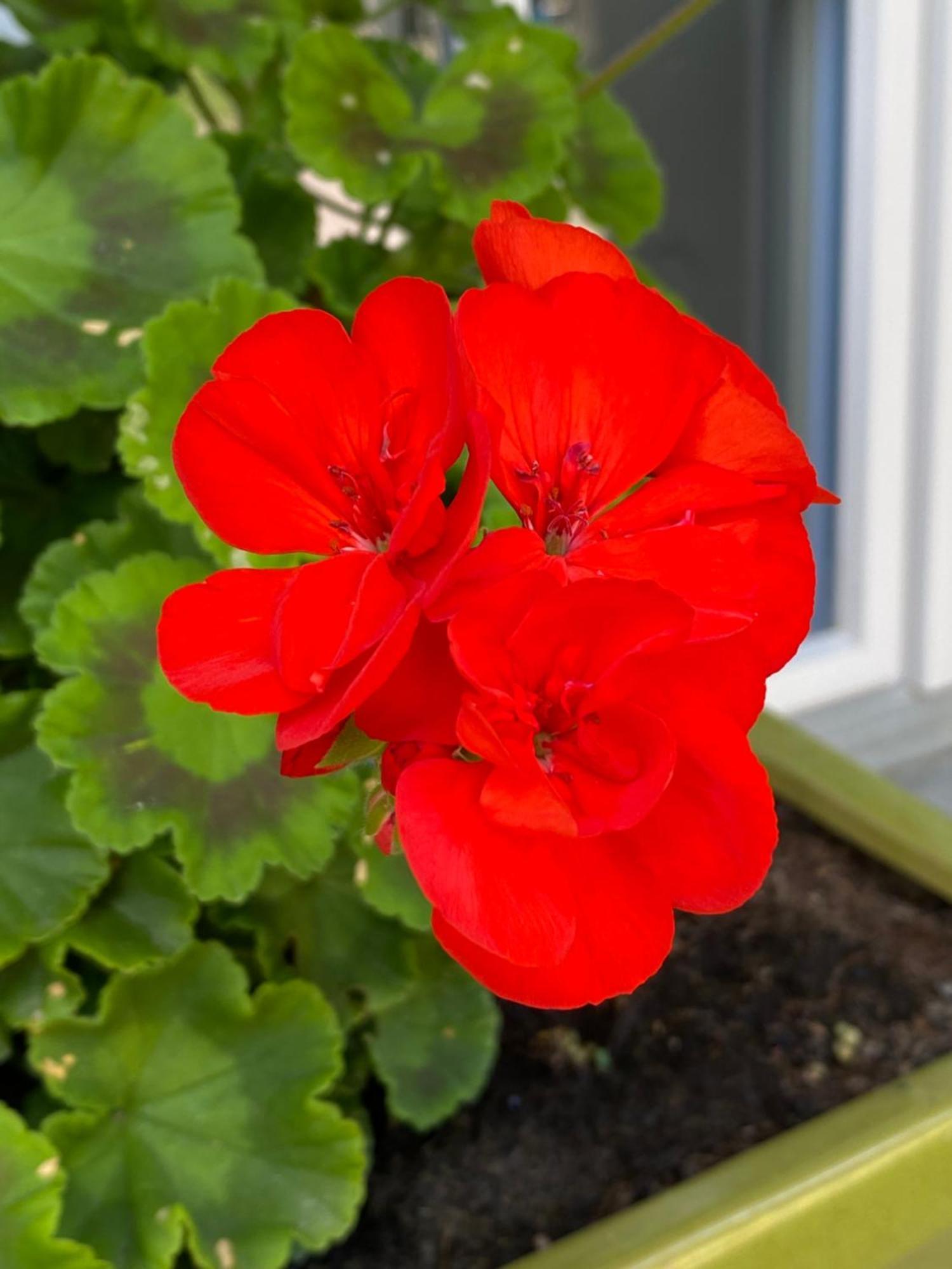B&B Tannen124 Oberburg Eksteriør bilde