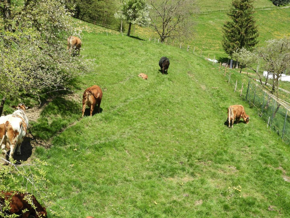 B&B Tannen124 Oberburg Eksteriør bilde